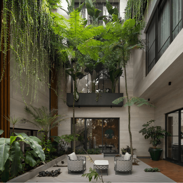 House Becomes a Landscape